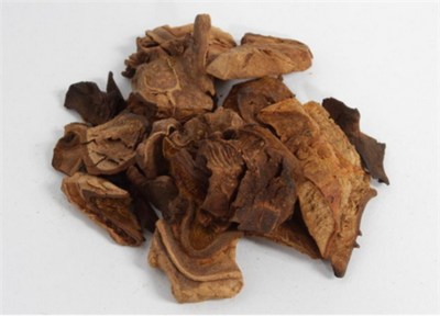 補腎壯陽中藥材大全及其功效